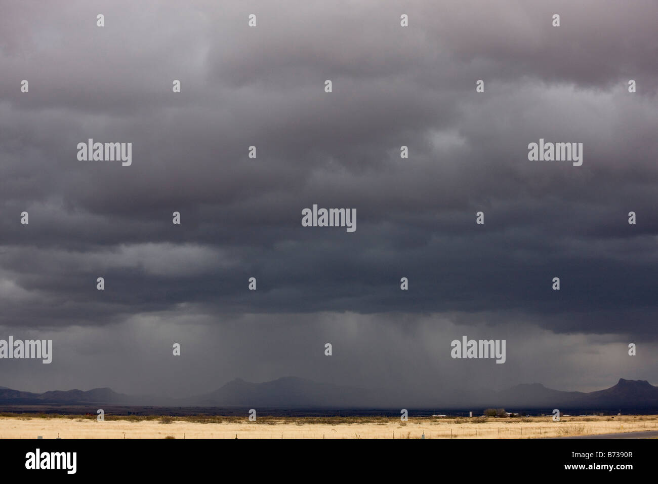 Les prairies et les montagnes près de Douglas sur la frontière entre le Mexique et l'Arizona sur une soirée d'hiver orageux Banque D'Images Les prairies et les montagnes près de Douglas sur la frontière entre le Mexique et l'Arizona sur une soirée d'hiver orageux Banque D'Images