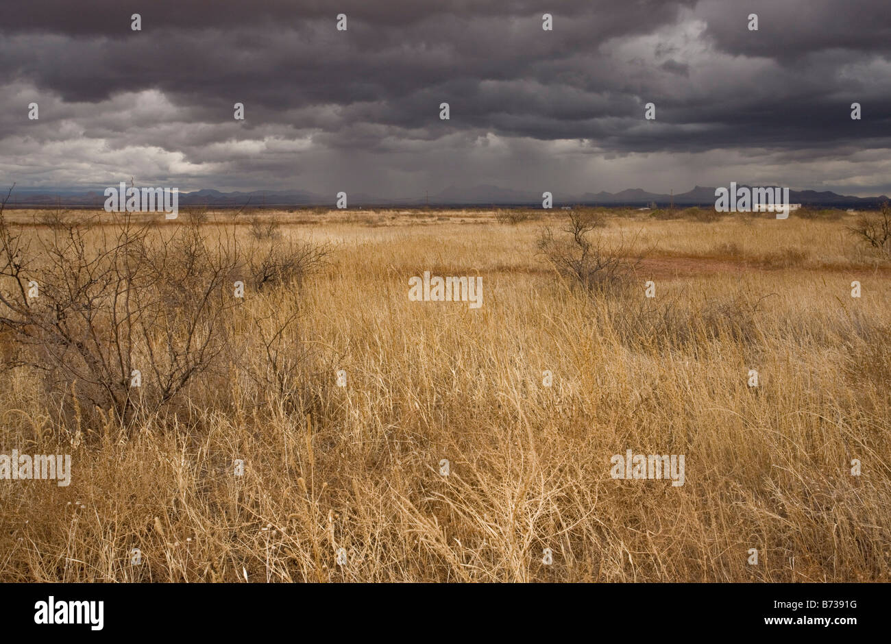Les prairies et les montagnes près de Douglas sur la frontière entre le Mexique et l'Arizona sur une soirée d'hiver orageux Banque D'Images Les prairies et les montagnes près de Douglas sur la frontière entre le Mexique et l'Arizona sur une soirée d'hiver orageux Banque D'Images