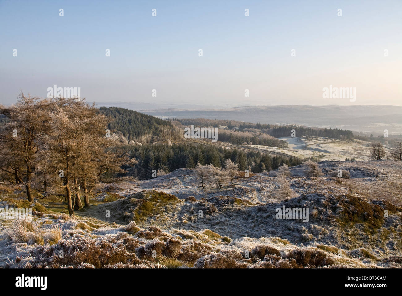 Scène d'hiver dans le lake district Banque D'Images