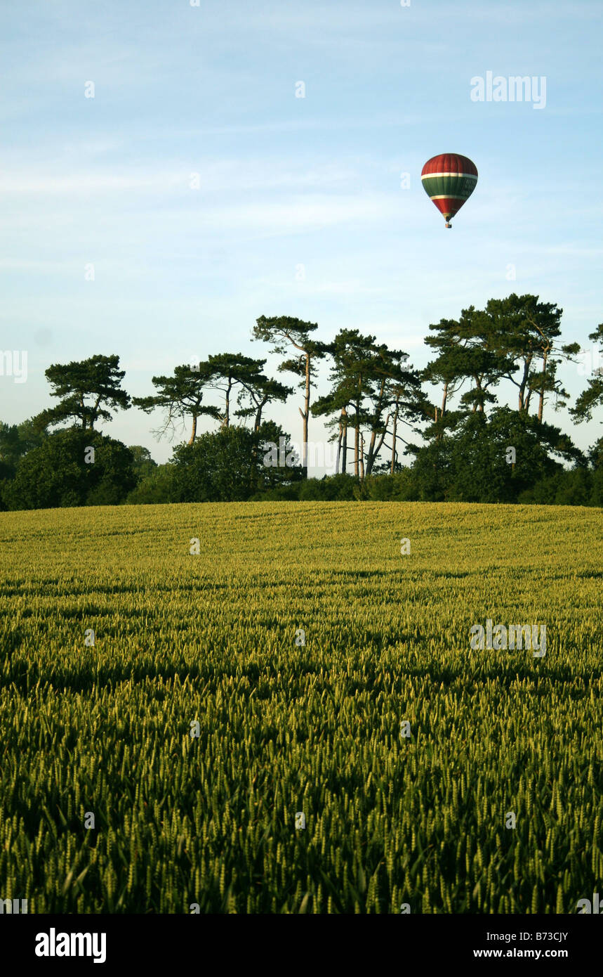 Un ballon à air chaud FLOTTE AU-DESSUS DE LA SOUTH DOWNS, VU AU-DESSUS D'UN CHAMP DE BLÉ. Banque D'Images