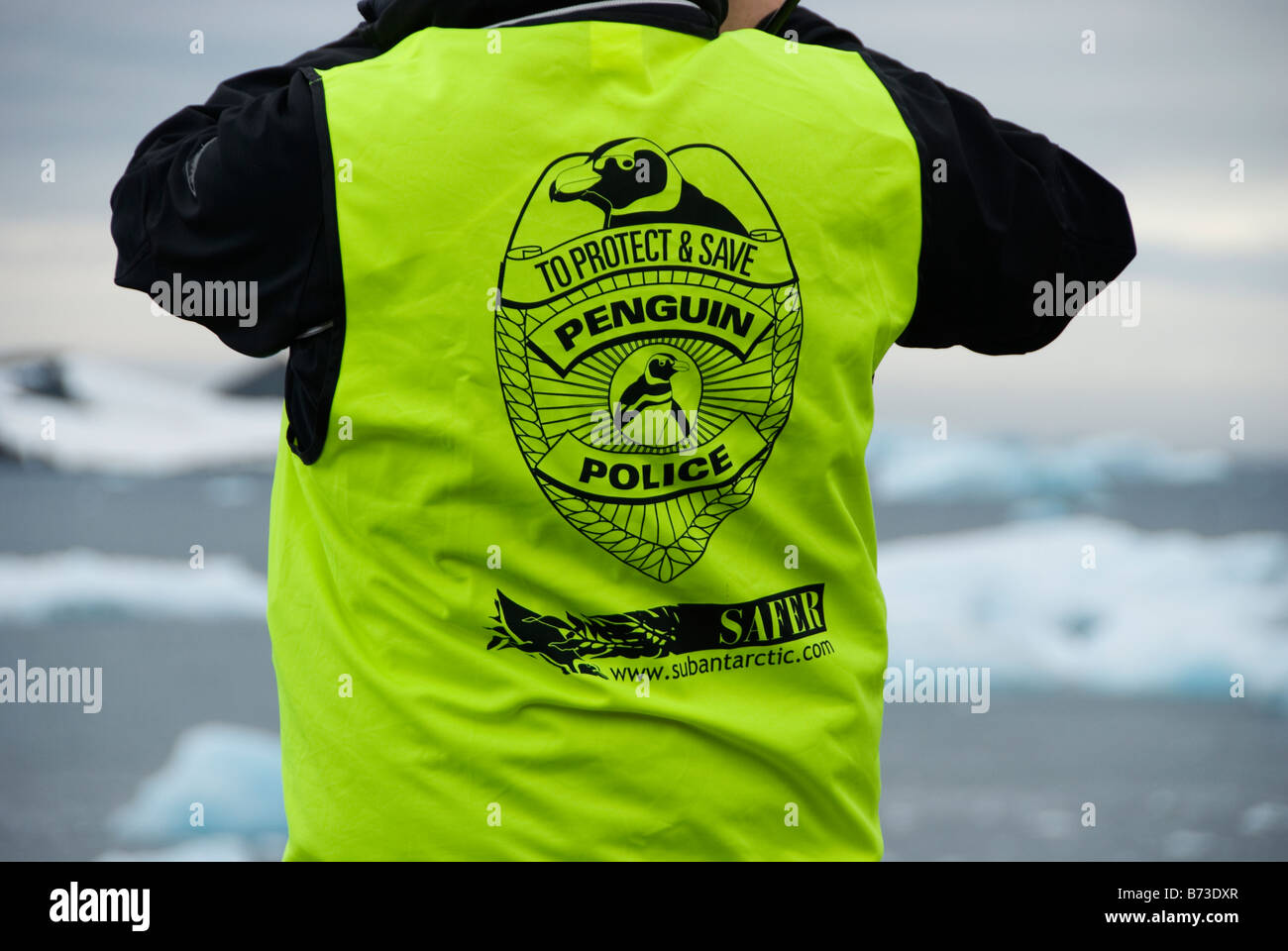 La police en patrouille Penguin dans l'Antarctique Banque D'Images