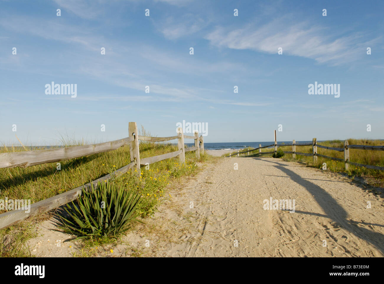 Chemin d'accès à la plage, Avalon, New Jersey Banque D'Images