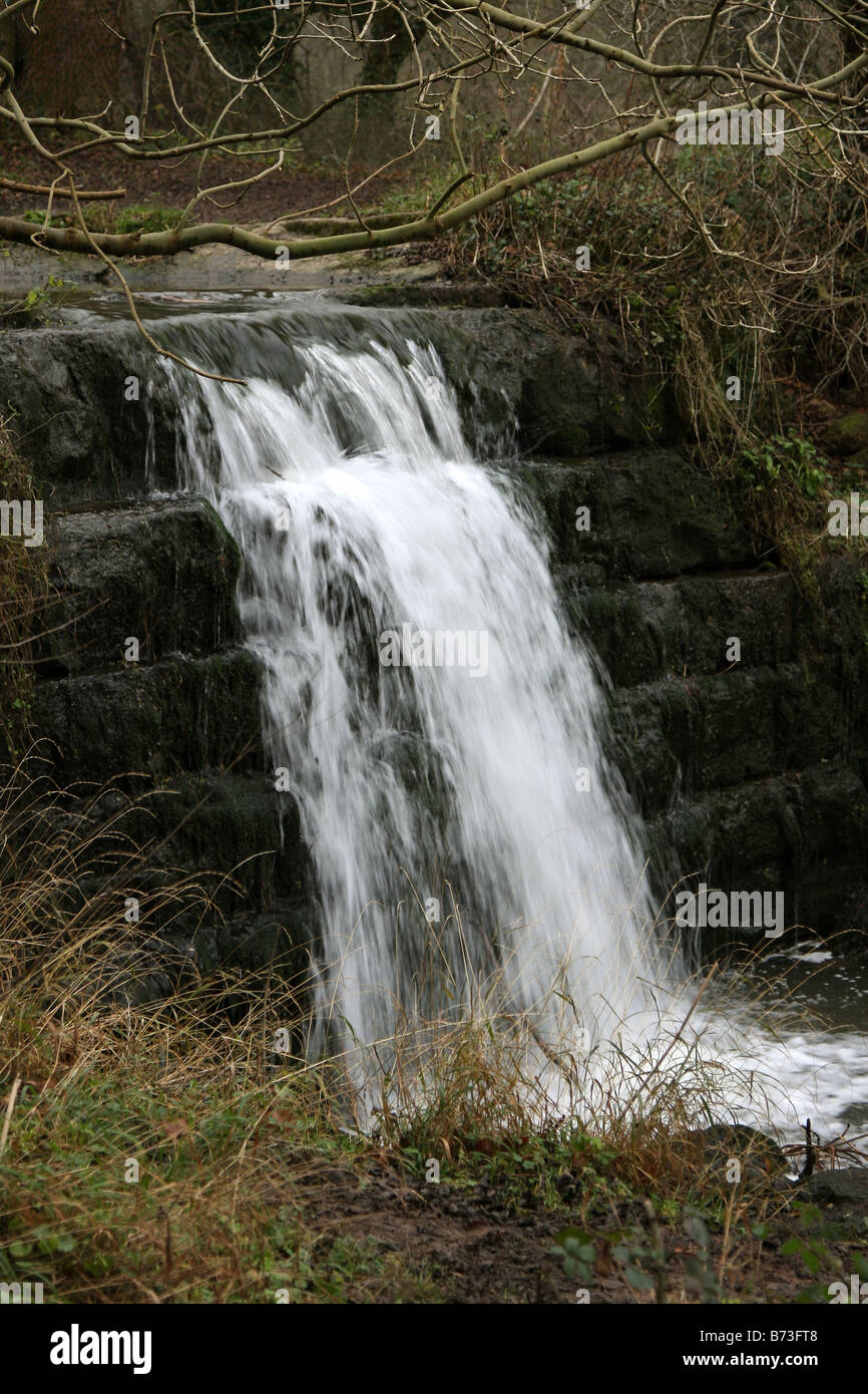 Roche de la vallée de l'abbaye près de Maltby South Yorkshire Angleterre GO UK 2008 Banque D'Images