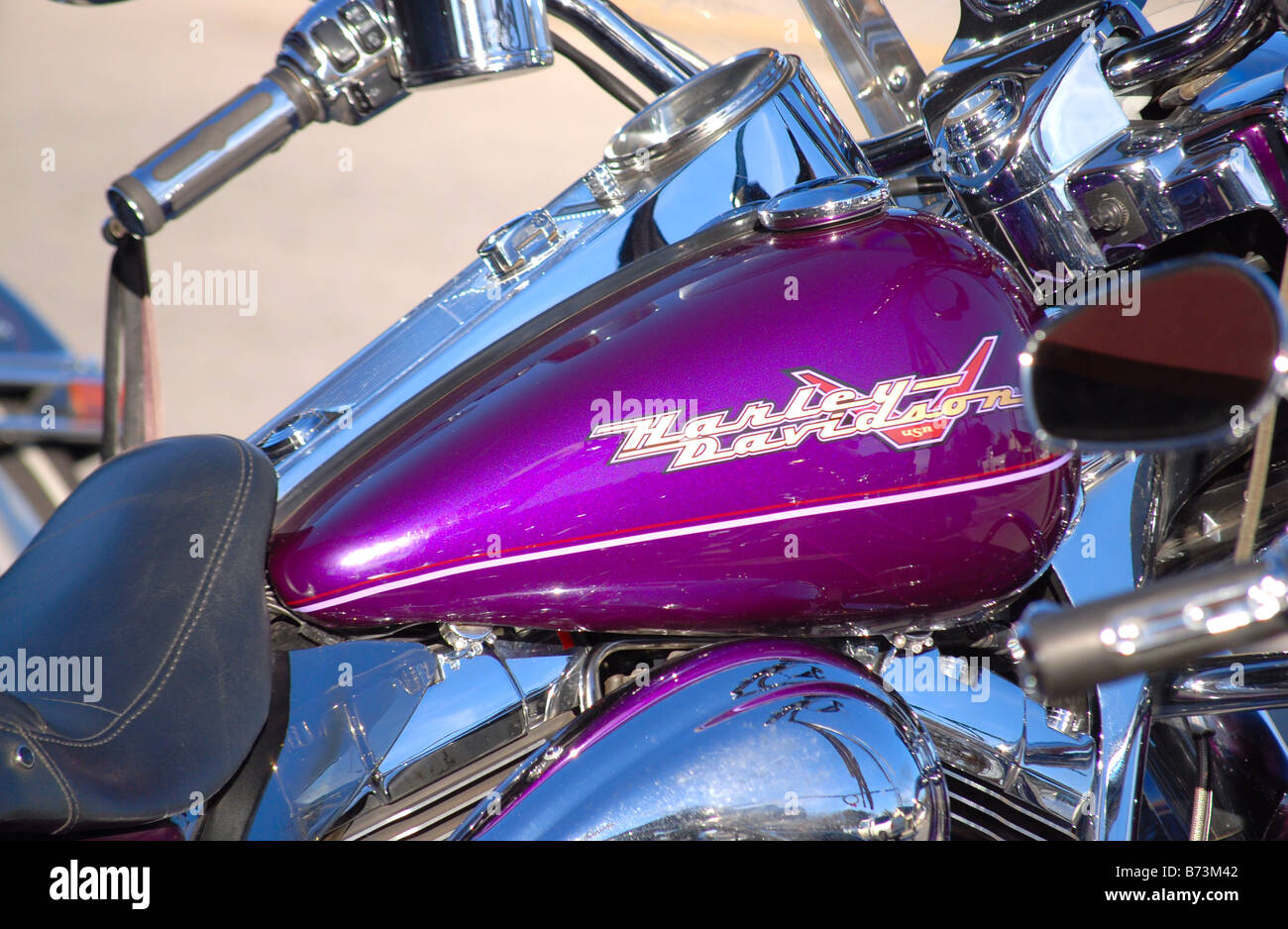 Réservoir de Harley violet Banque D'Images