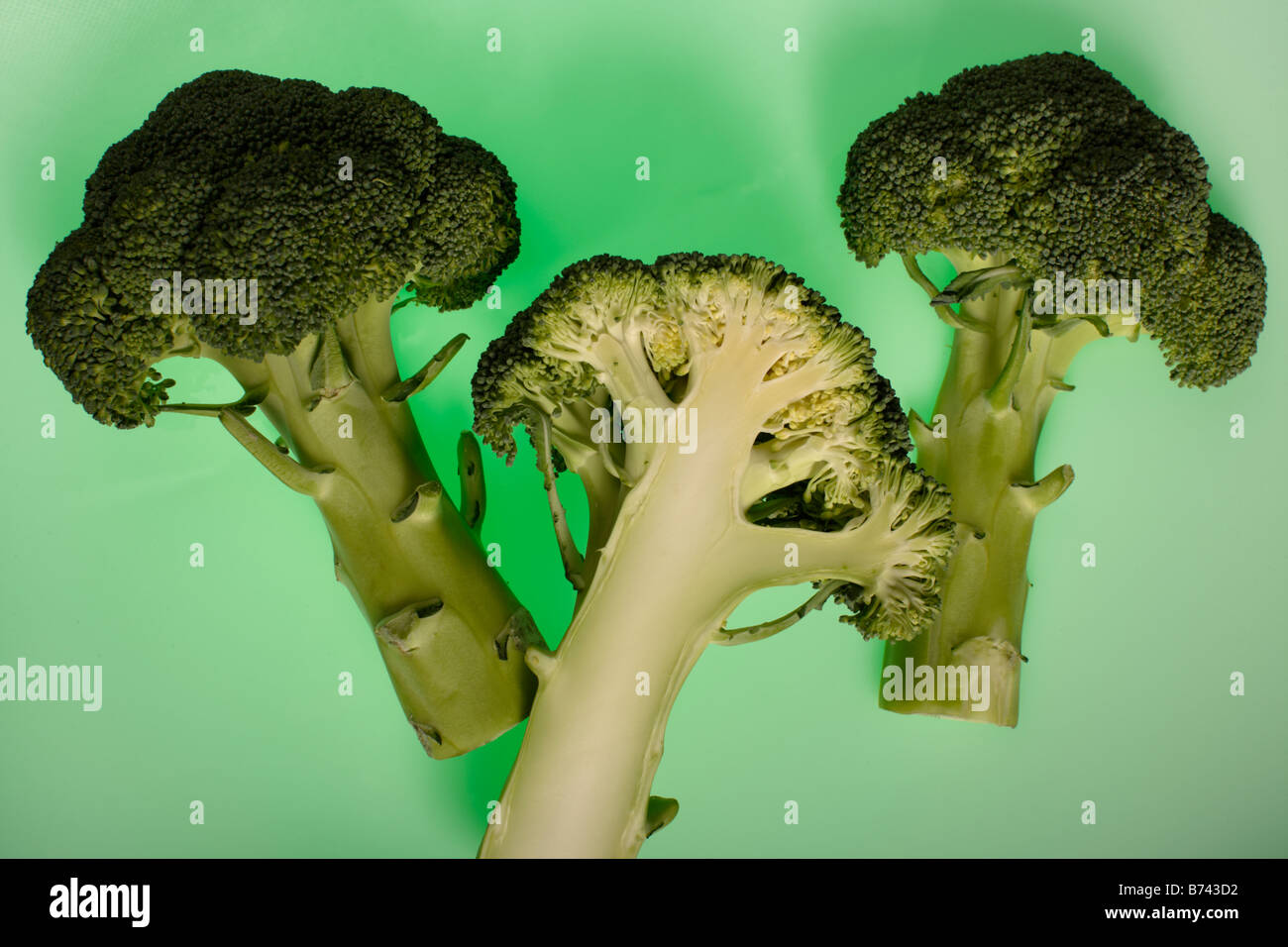 Le Brocoli (Brassica oleracea var. botrytis italica) Banque D'Images