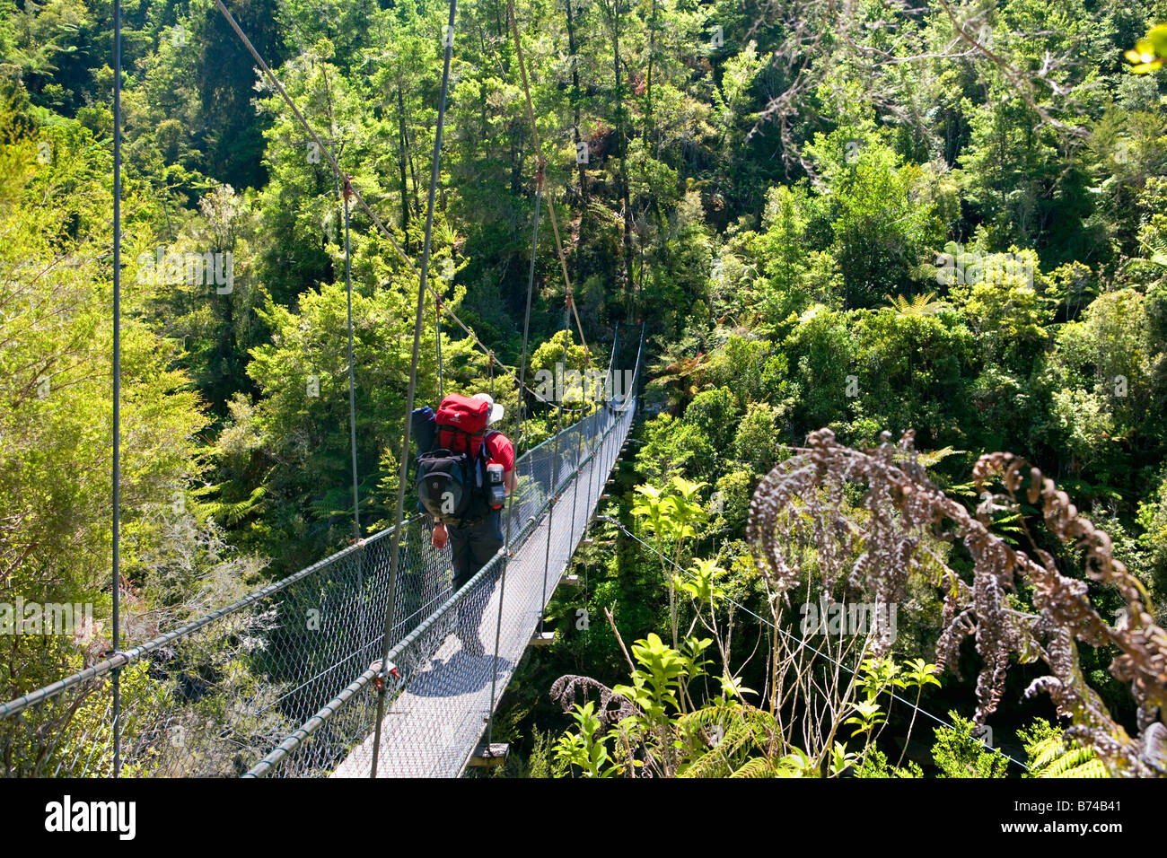 Nouvelle Zélande, île du Sud, parc national Abel Tasman. L'homme randonner pont suspendu. Banque D'Images