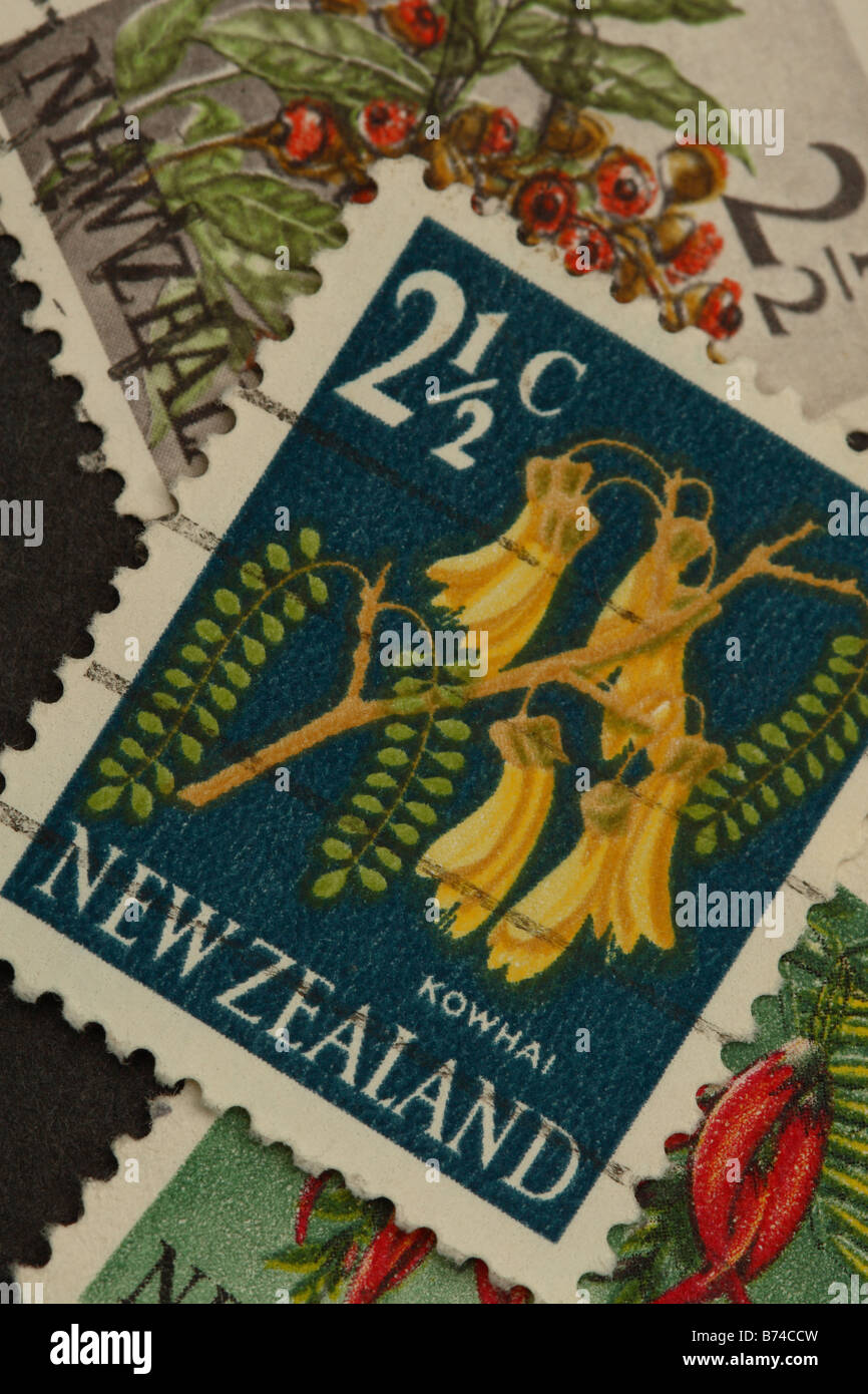Affranchissement timbre poste néo-zélandais des années 60 années 60 montrant la fleur plante Kowhai Banque D'Images