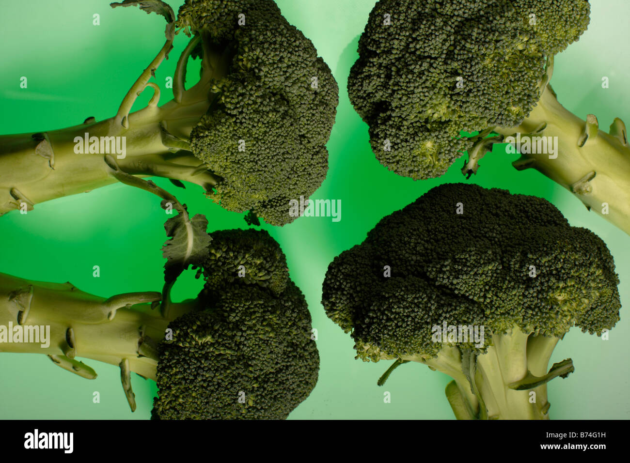 Le Brocoli (Brassica oleracea var. botrytis italica) Banque D'Images