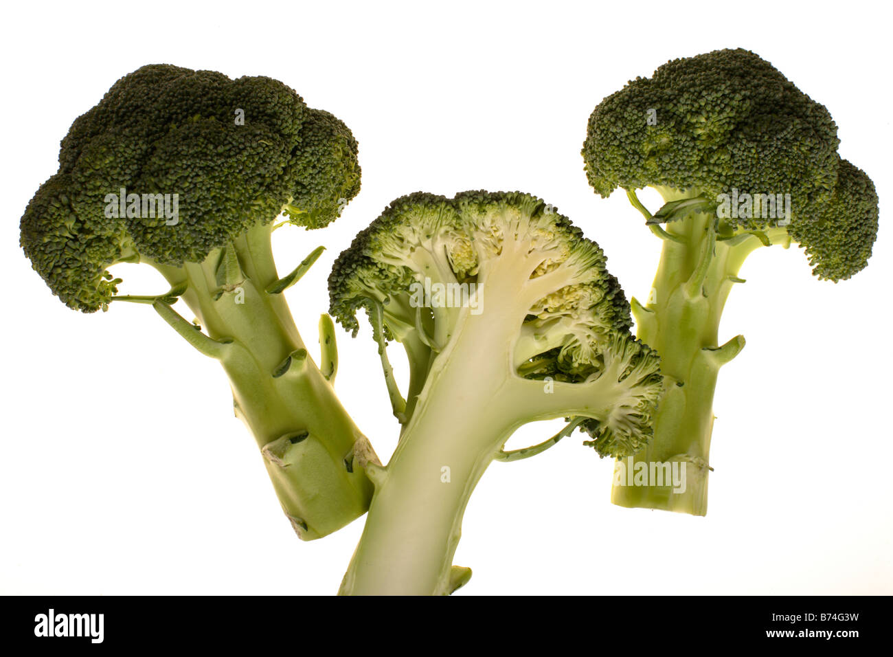 Le Brocoli (Brassica oleracea var. botrytis italica) Banque D'Images