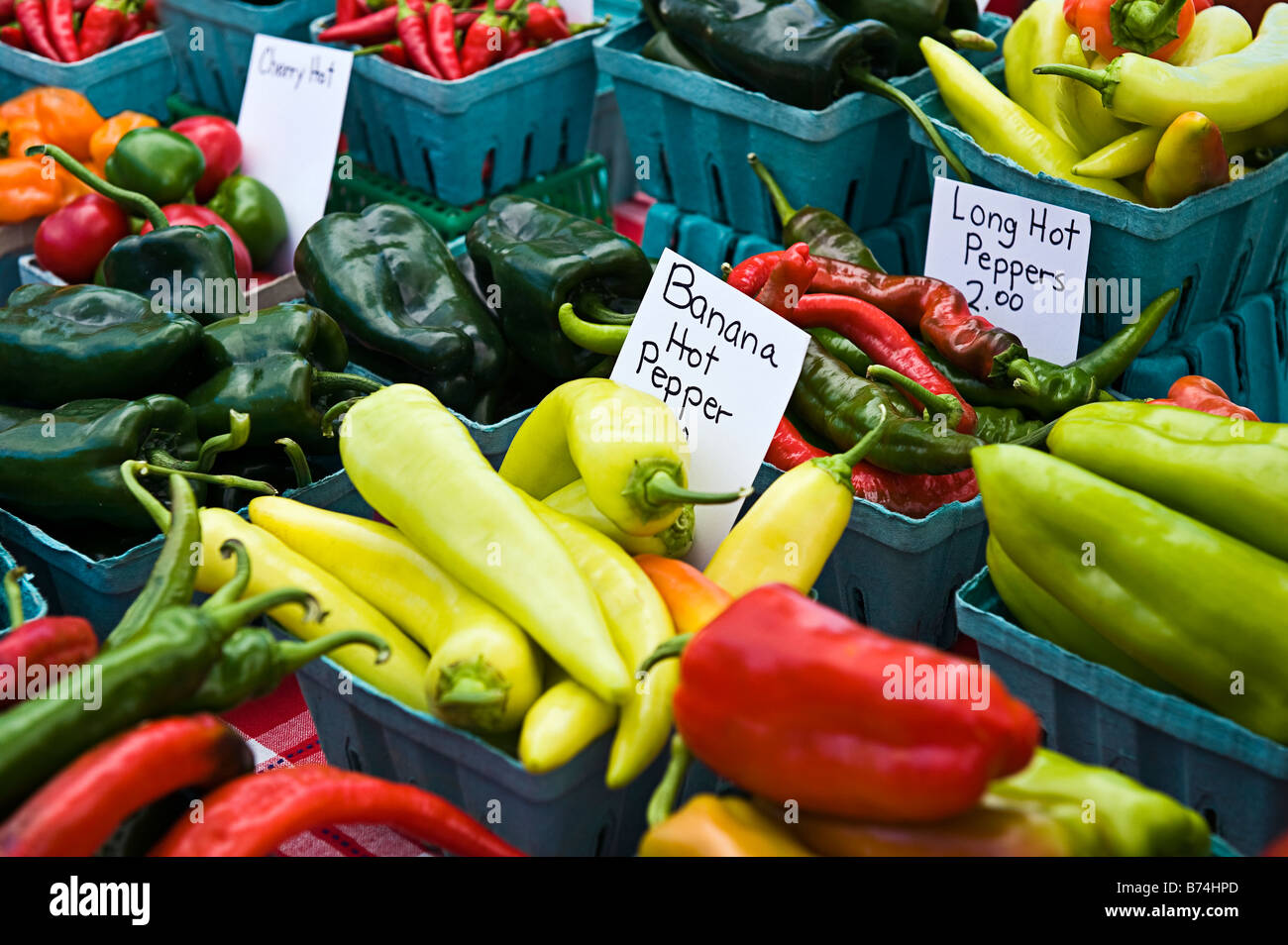 Variété de piment à un marché de producteurs Banque D'Images