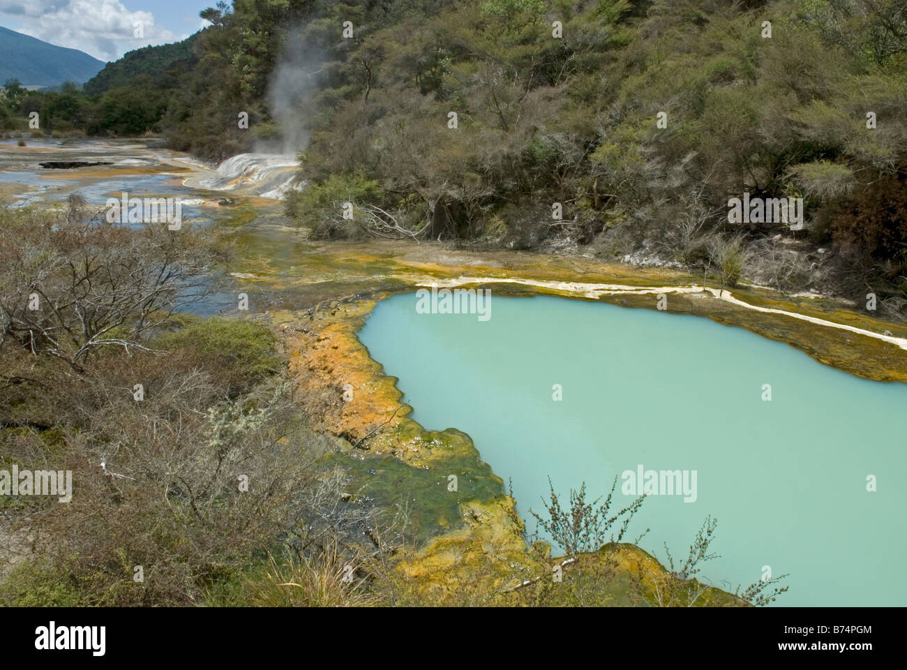 Petit lac et l'ondulation d'une terrasse au-dessus de la terrasse à Warbrick la Vallée volcanique de Waimangu, Nouvelle-Zélande Banque D'Images