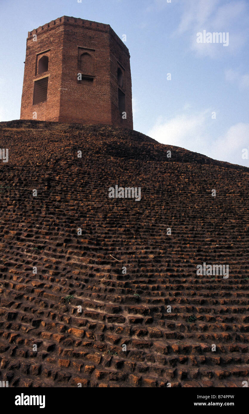 Brique énorme stupa Sarnath Varanasi Uttar Pradesh en Inde. Où le bouddha Siddhartha Gautama enseignait ses disciples d'abord Banque D'Images Brique énorme stupa Sarnath Varanasi Uttar Pradesh en Inde. Où le bouddha Siddhartha Gautama enseignait ses disciples d'abord Banque D'Images