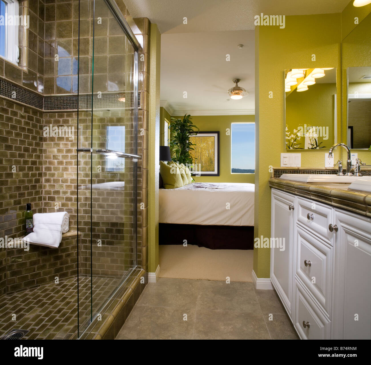 Salle de bains avec douche carrelée richement Banque D'Images