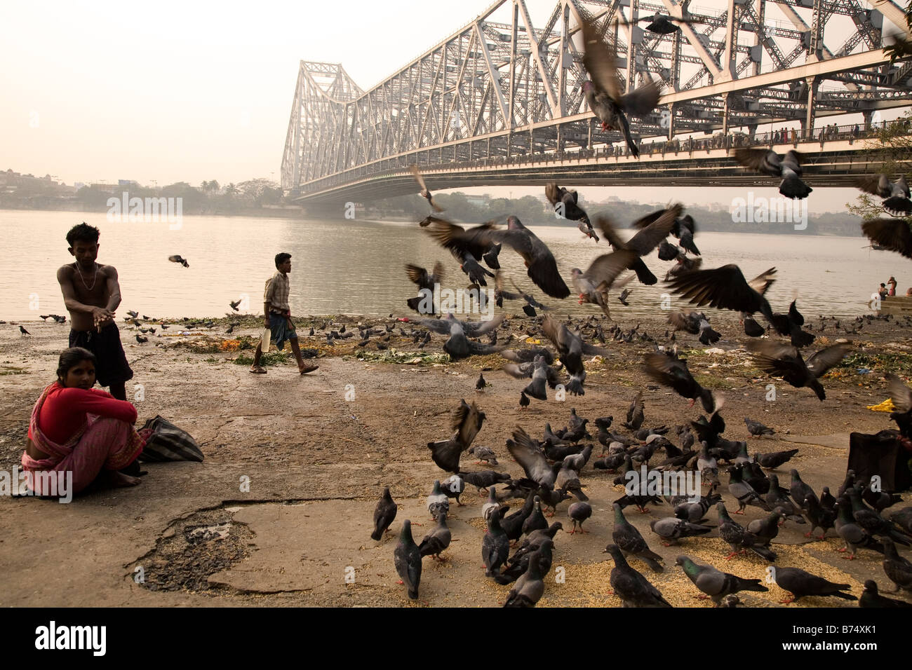Un troupeau de pigeons décolle près du pont Howrah à Kolkata, Inde. Banque D'Images
