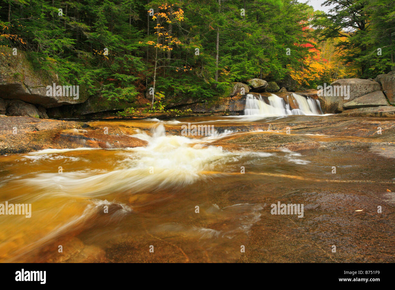 Bear River, Grafton Notch State Park, Newry, Montagnes Blanches, Maine, USA Banque D'Images