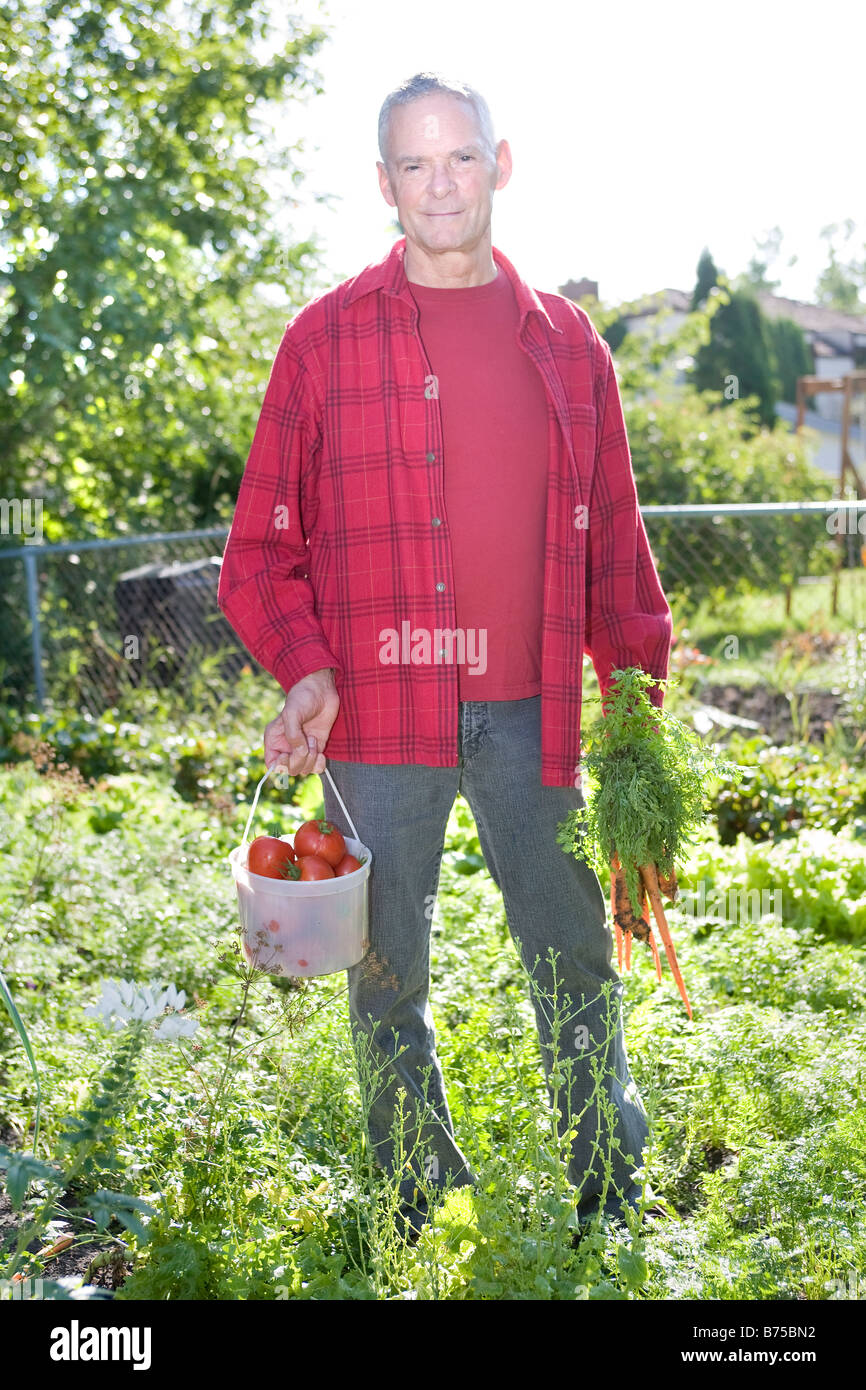 Man dans le jardin avec des carottes et des tomates, Winnipeg, Canada Banque D'Images