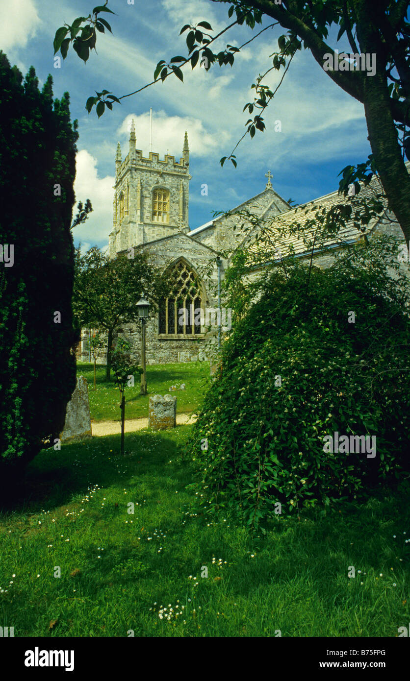 Église Saint Jean-Baptiste, Bere Regis, dans le Dorset, UK. Banque D'Images