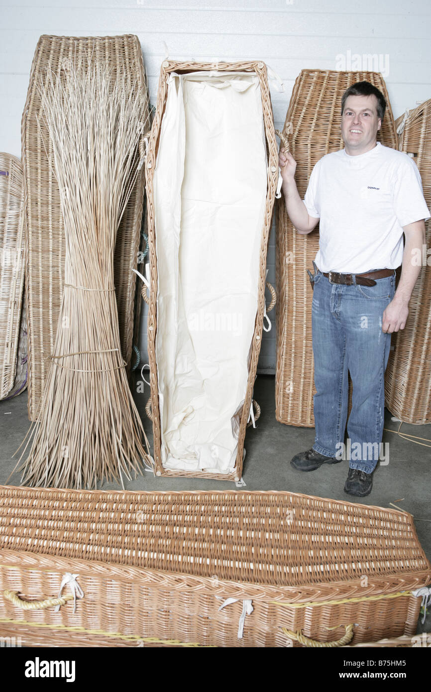Cercueil fait à la main de willow cultivé sur les niveaux de Somerset Banque D'Images