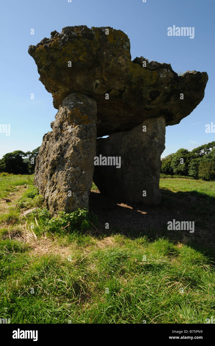 Lythans St long barrow mégalithique chambre funéraire près de St Nicholas Vallée de Glamorgan au Pays de Galles du Sud Banque D'Images