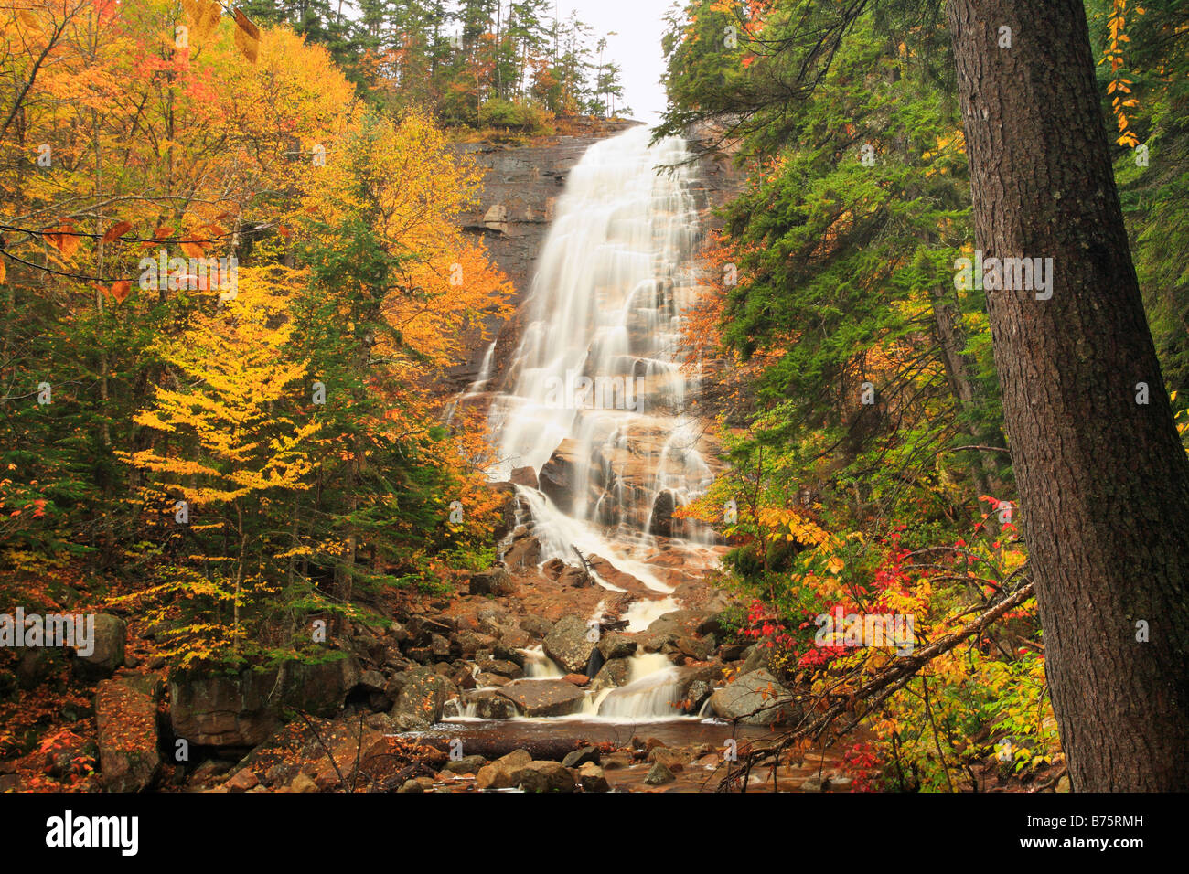 Arethusa Falls, Crawford Notch State Park, New Hampshire, USA Banque D'Images