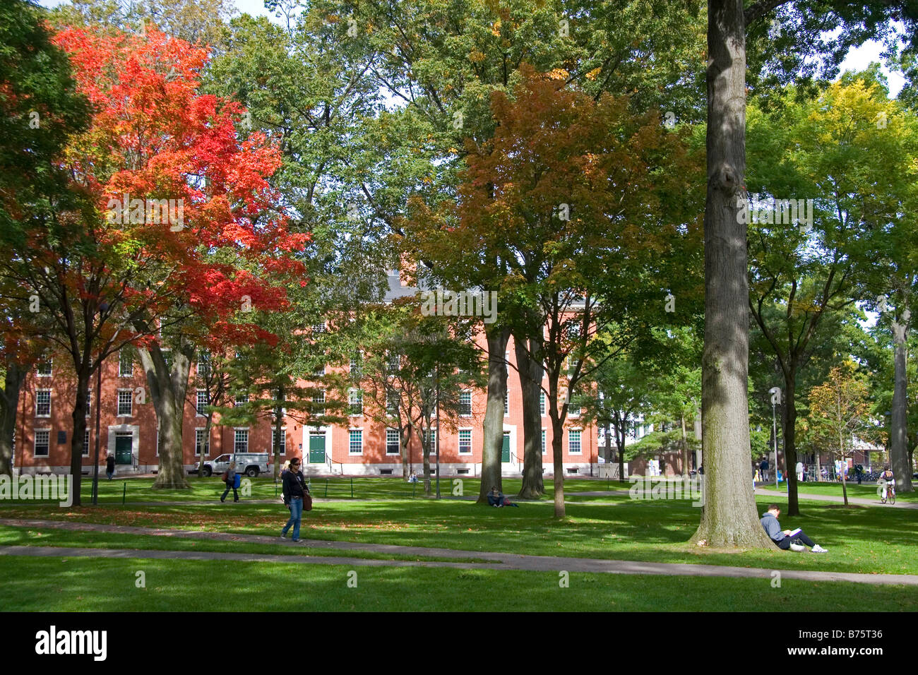 Harvard Yard à l'Université de Harvard à Cambridge Greater Boston Massachusetts USA Banque D'Images