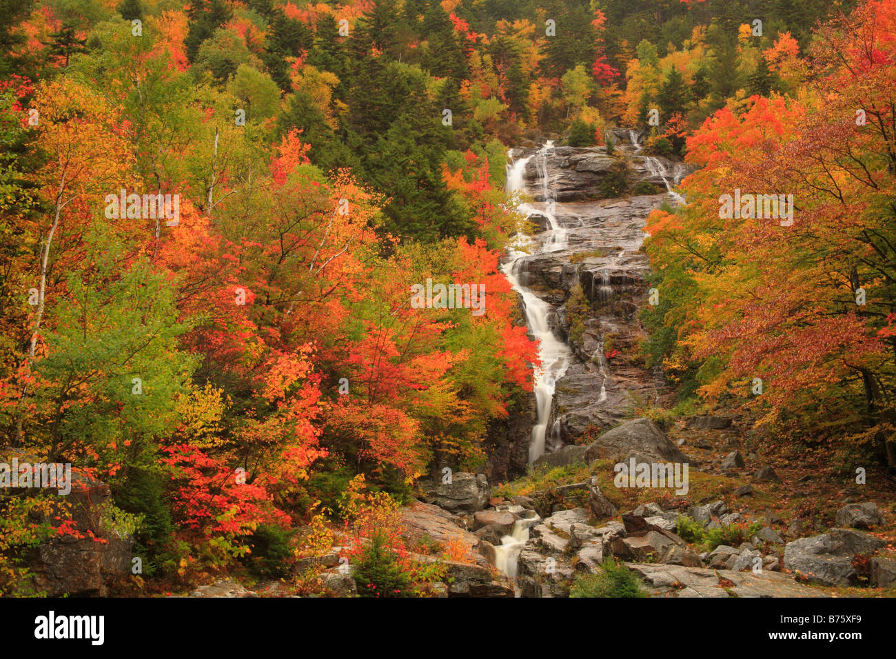 Cascade d'argent, Crawford Notch, North Conway, White Mountains, New Hampshire, USA Banque D'Images