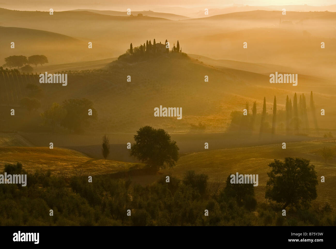 Image paysagée du soleil se levant sur la ferme italienne du Belvédère, bordée de cyprès et entourée de couleurs dorées d'automne Banque D'Images