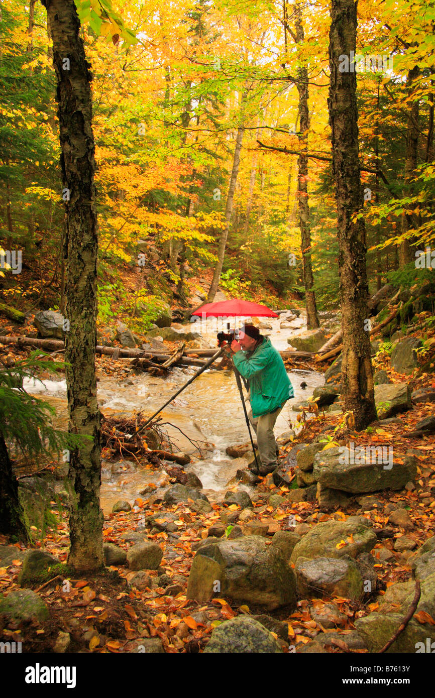 Photograher à sec, à l'omble de Falling Waters, Sentier Franconia Notch, White Mountains, New Hampshire, USA Banque D'Images