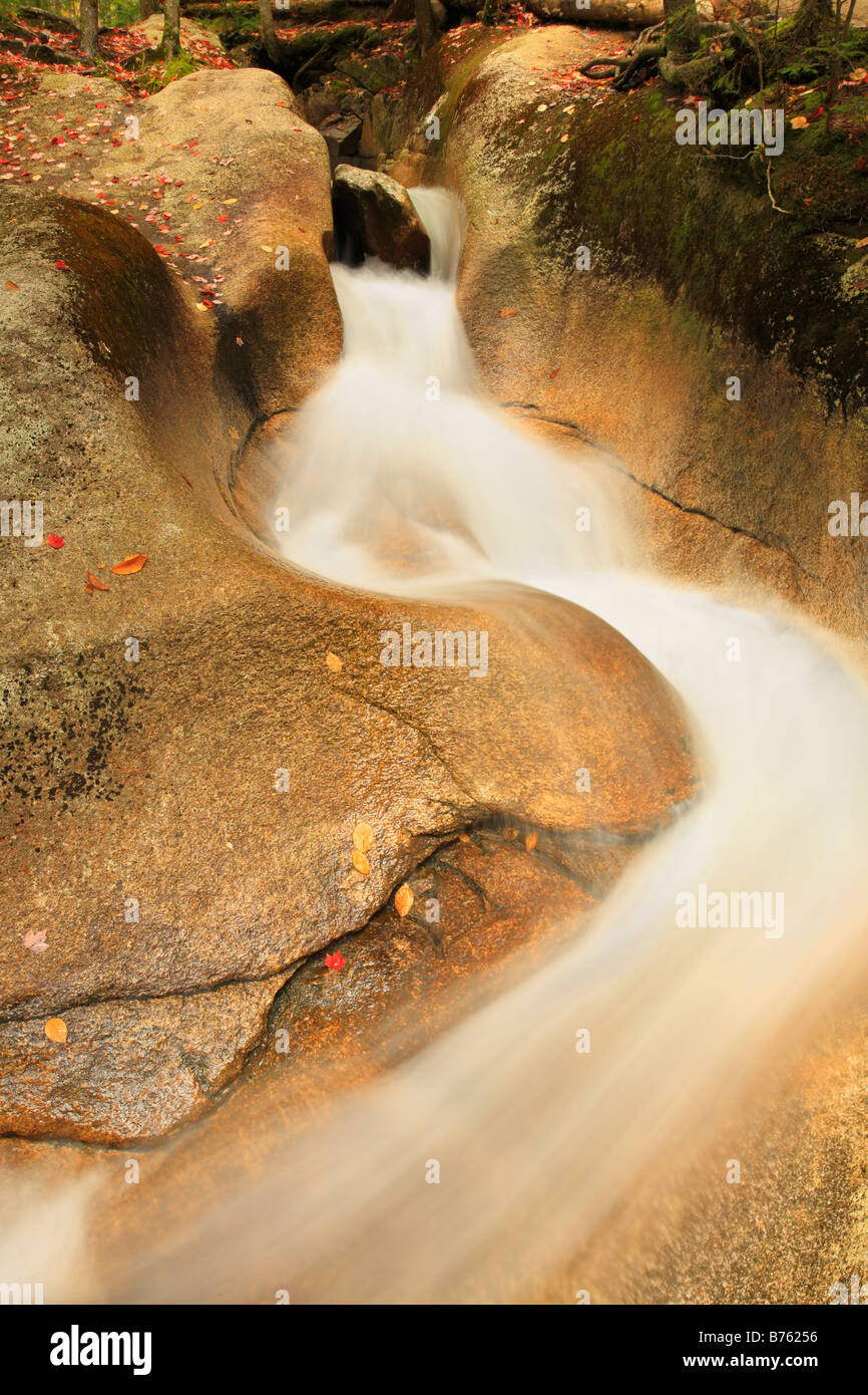 Le long du sentier du bassin Cascade, Franconia Notch, White Mountains, New Hampshire, USA Banque D'Images