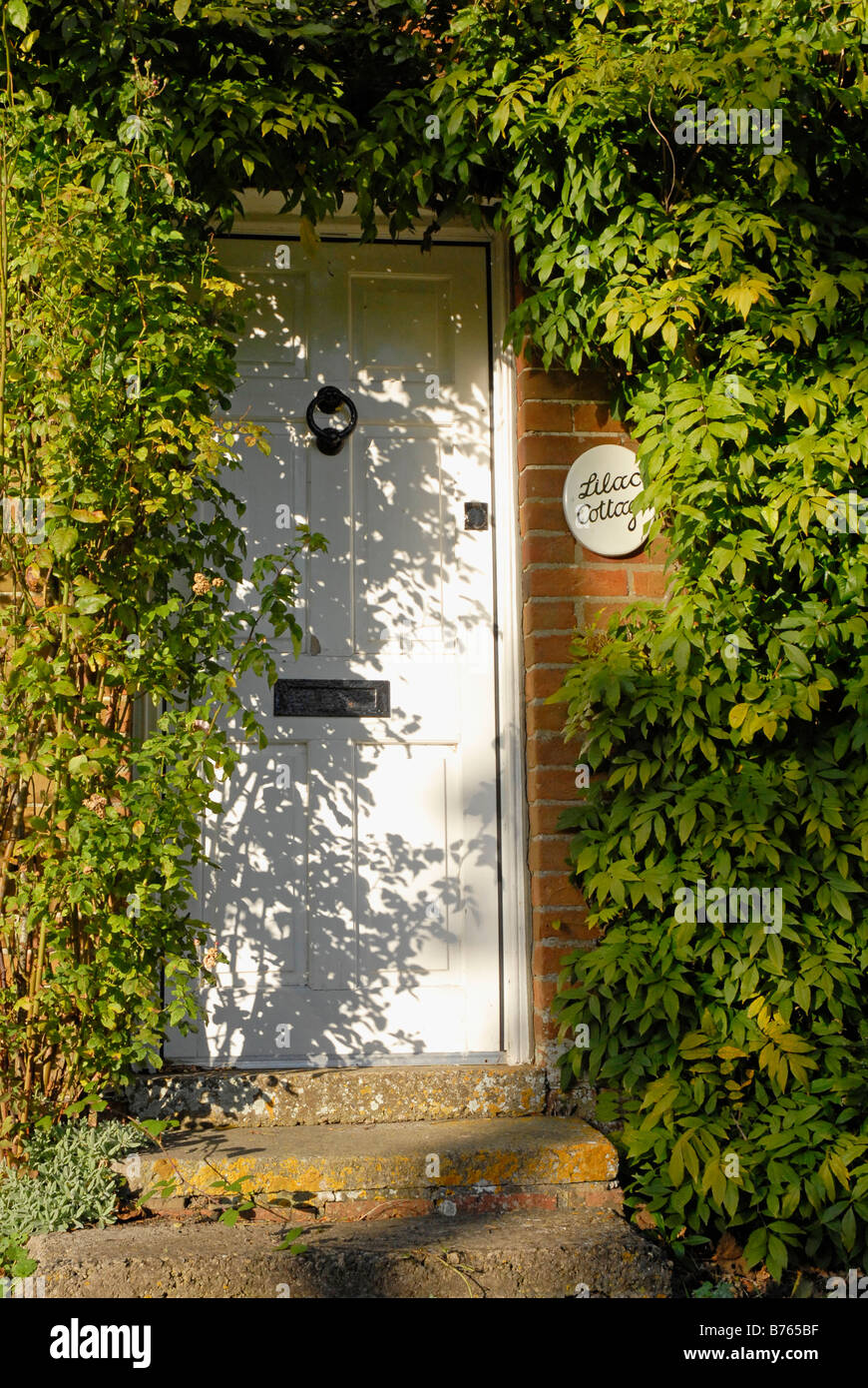 Livre blanc de la porte d'entrée country house, avec le nom 'Lilac Cottage" sur la plaque d'à côté porte et entouré de feuilles vertes Banque D'Images