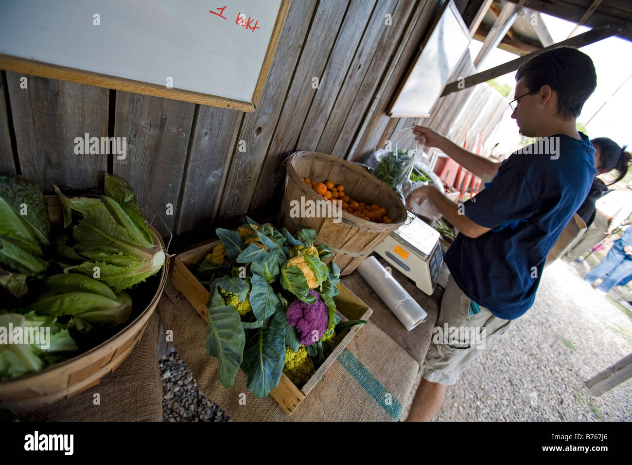 Le Centre pour l'agriculture urbaine à Fairview Gardens est l'une des plus anciennes fermes biologiques de Californie, à Goleta, Californie Banque D'Images
