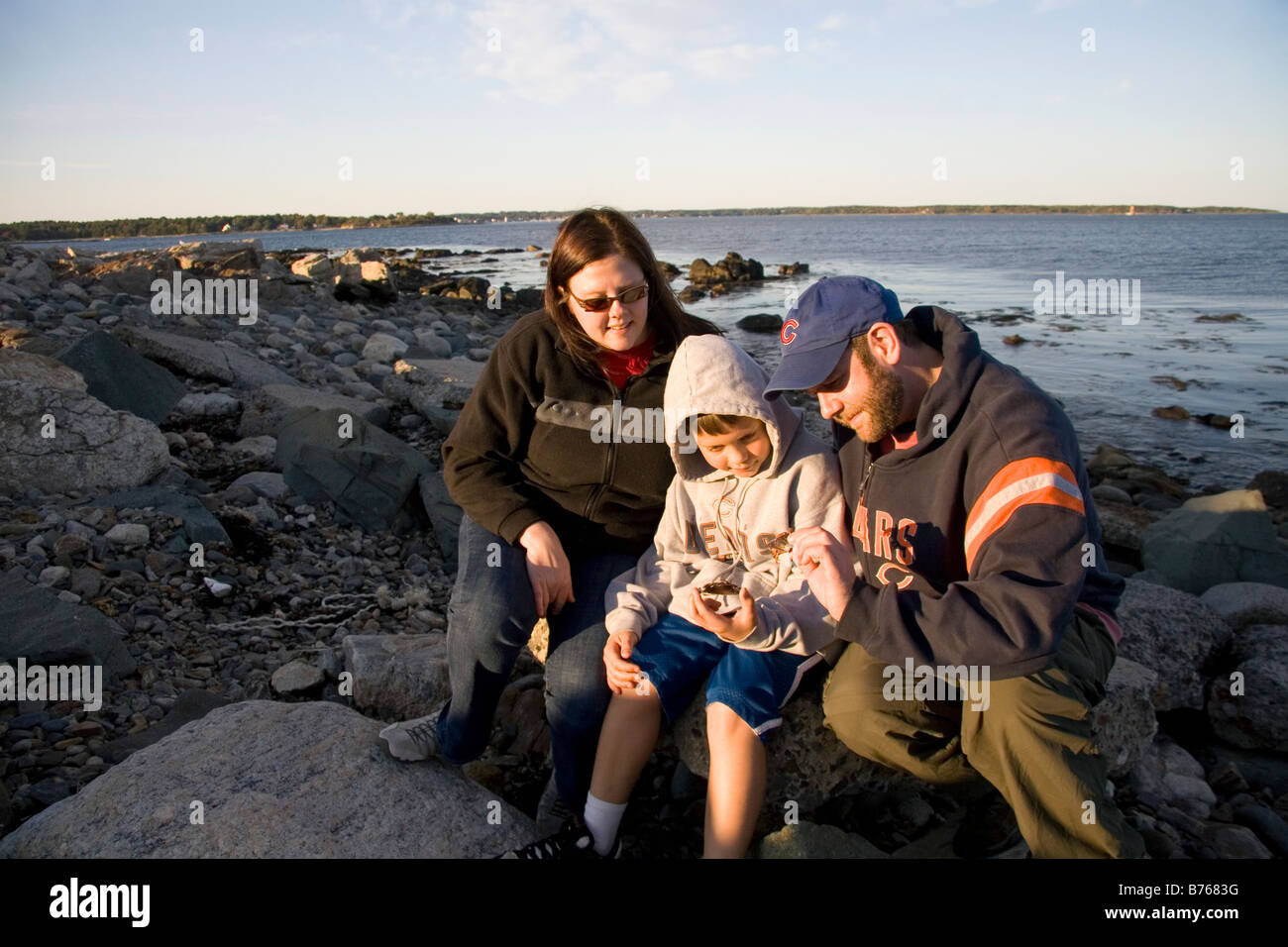 À la famille à un crabe vert dans Odiorne Point State Park près de la Seacoast Science Centre de Rye New Hampshire USA Banque D'Images