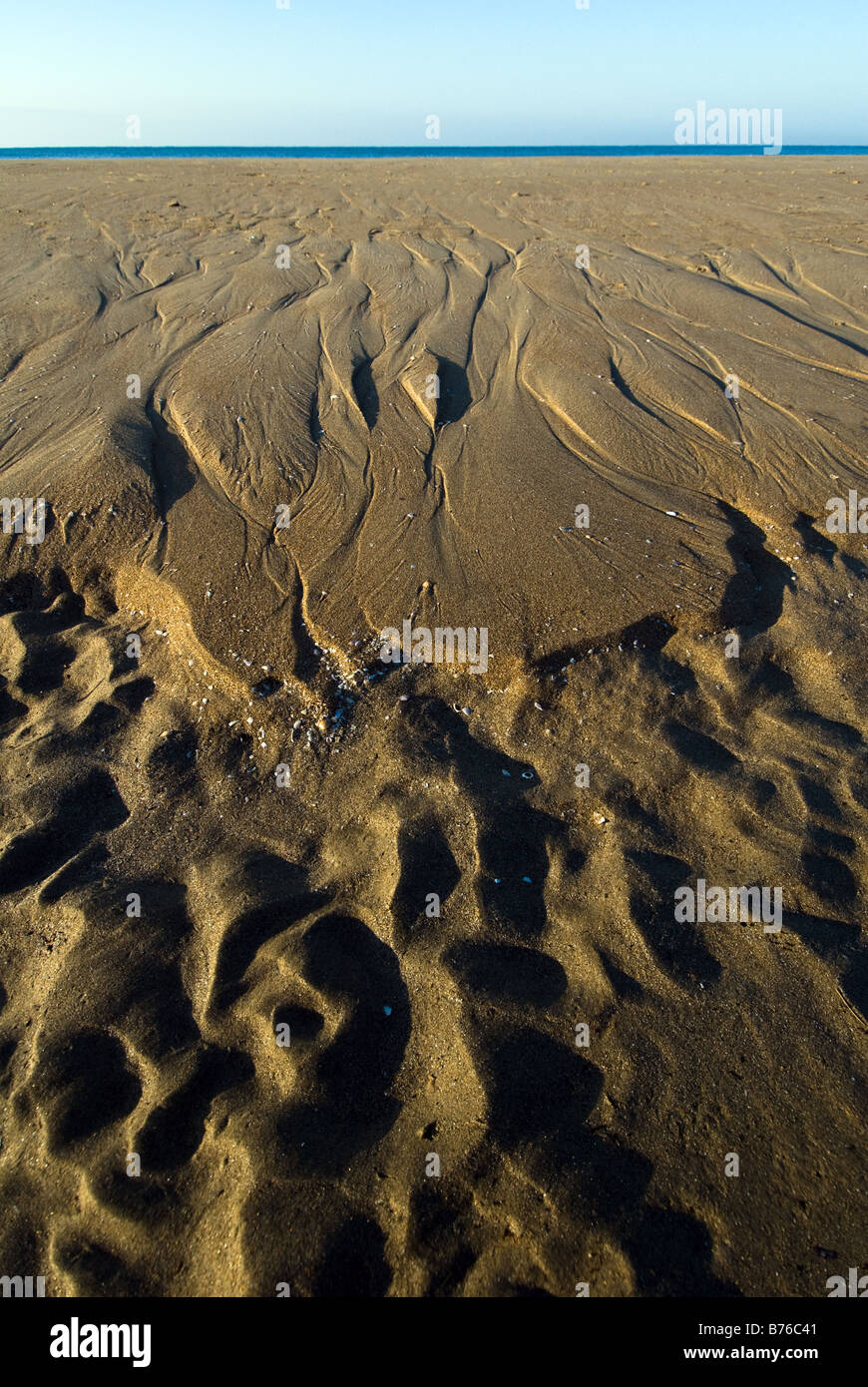 L'érosion sur le sable de la mer de Sabaudia en Italie Banque D'Images