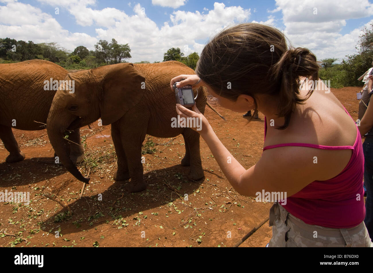 David Sheldrick Wildlife Trust orphelinat des éléphants Nairobi Kenya Banque D'Images