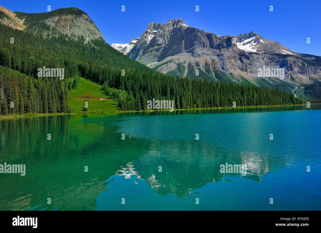 Vue générale du lac Emerald, dans le parc national Yoho, Colombie-Britannique, Canada Banque D'Images