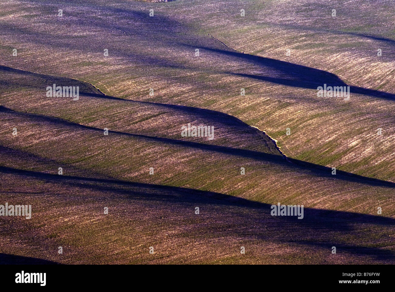 Paysage rural en Toscane en Italie Banque D'Images