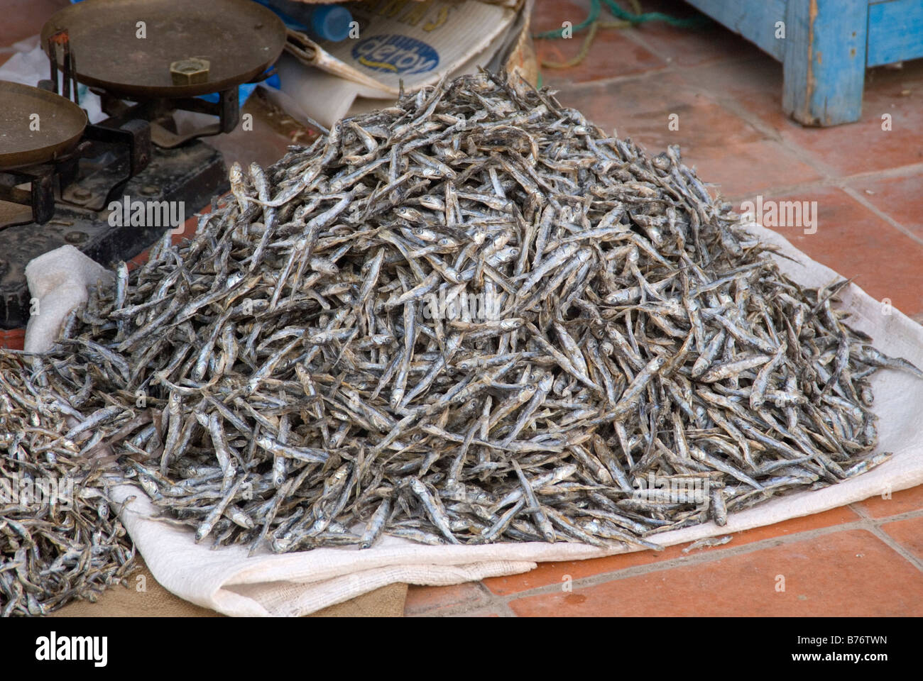 Marché de poisson de houmt-souk, Djerba, Tunisie,Afrique Banque D'Images