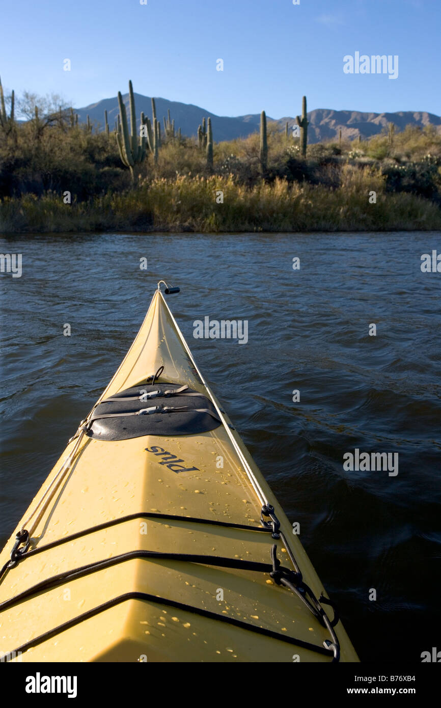 Un kayak dans un lac désert en Arizona avec des saguaros et montagnes en arrière-plan le lac Apache formés lorsque la Rivière Salée a été endigué. Banque D'Images