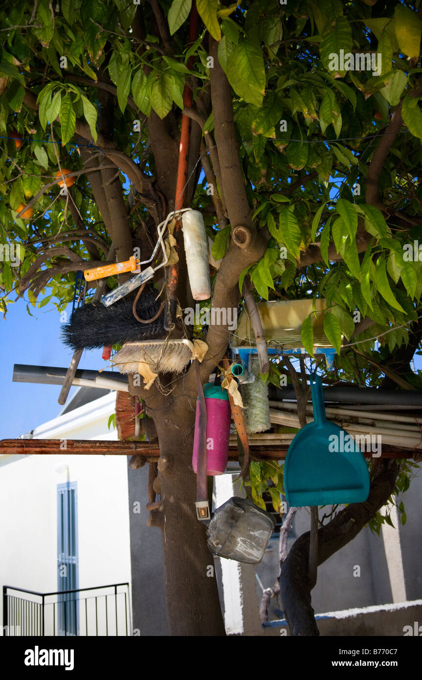 Arbre utilisé pour stocker les outils de peinture et de décoration dans le jardin Chypriote Banque D'Images