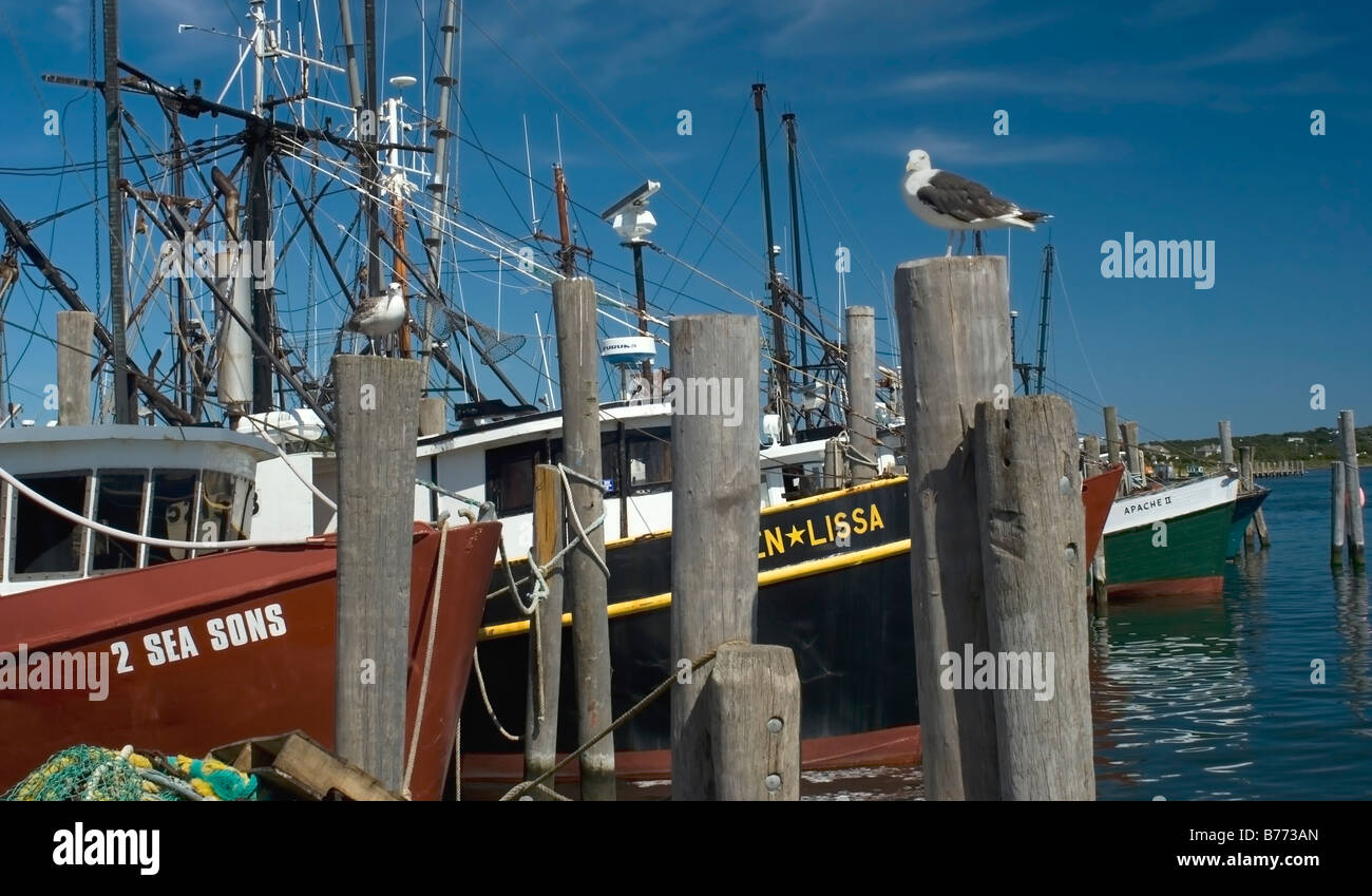 Bateaux de pêche commerciale, port de Montauk, Long Island, NY Banque D'Images