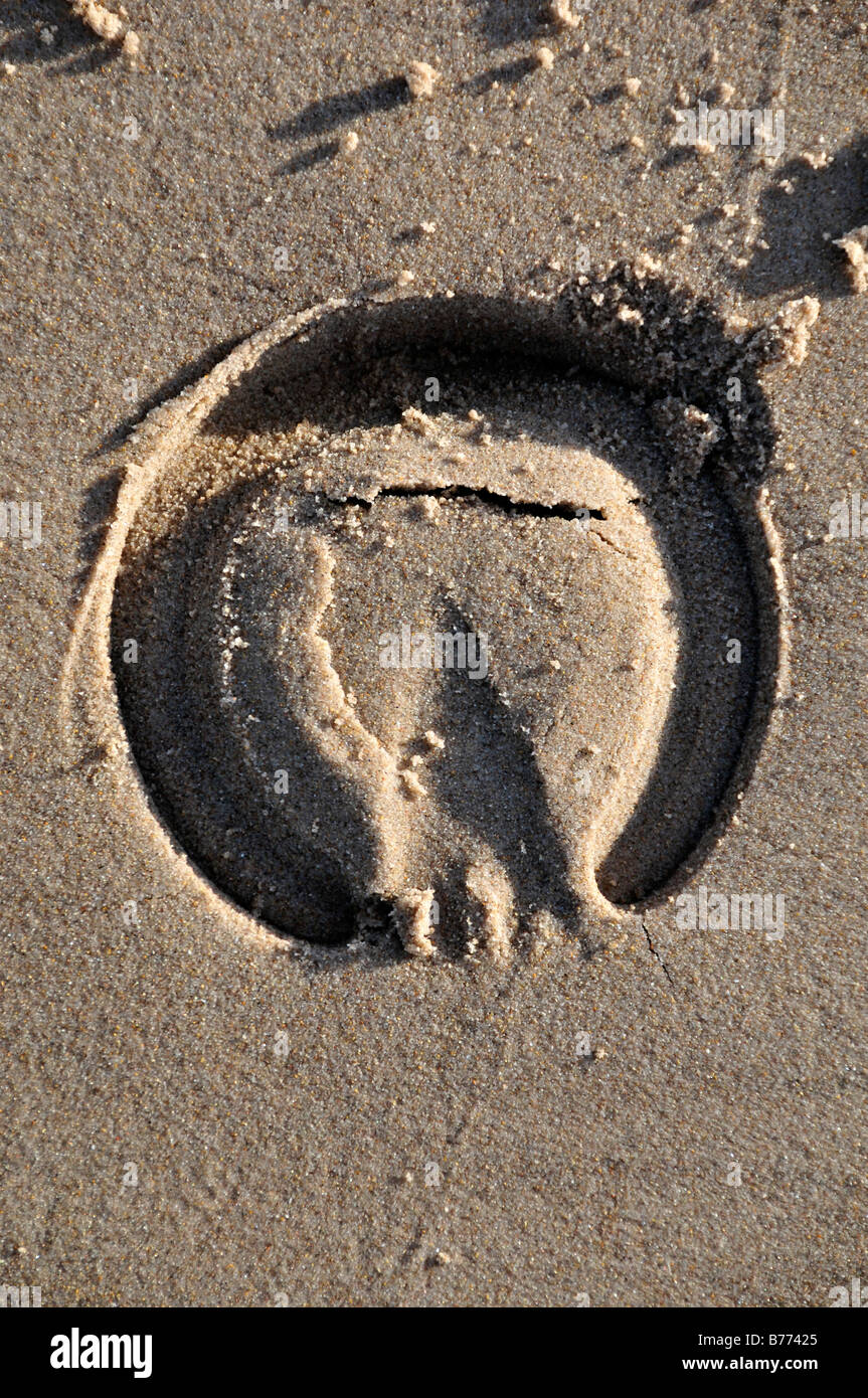 Plage au trot Banque de photographies et d’images à haute résolution ...