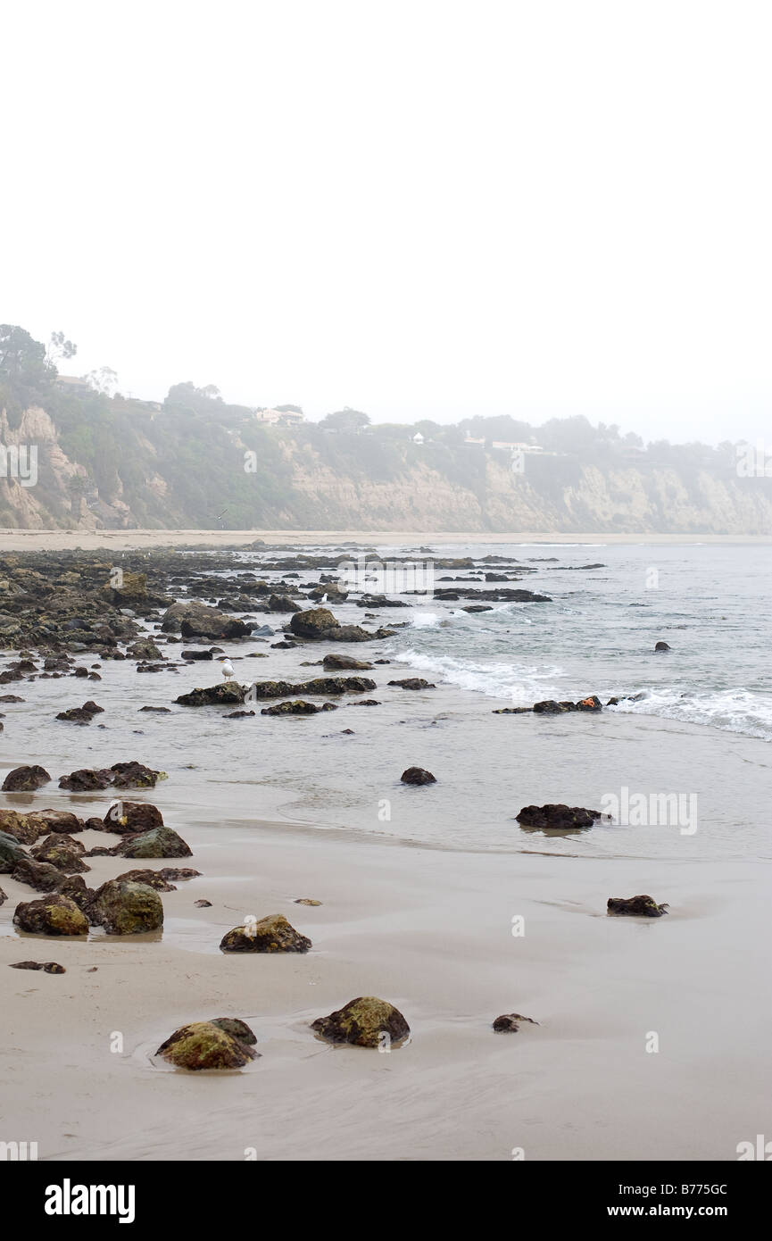Plage d'état de point Dume à Malibu en Californie Banque D'Images