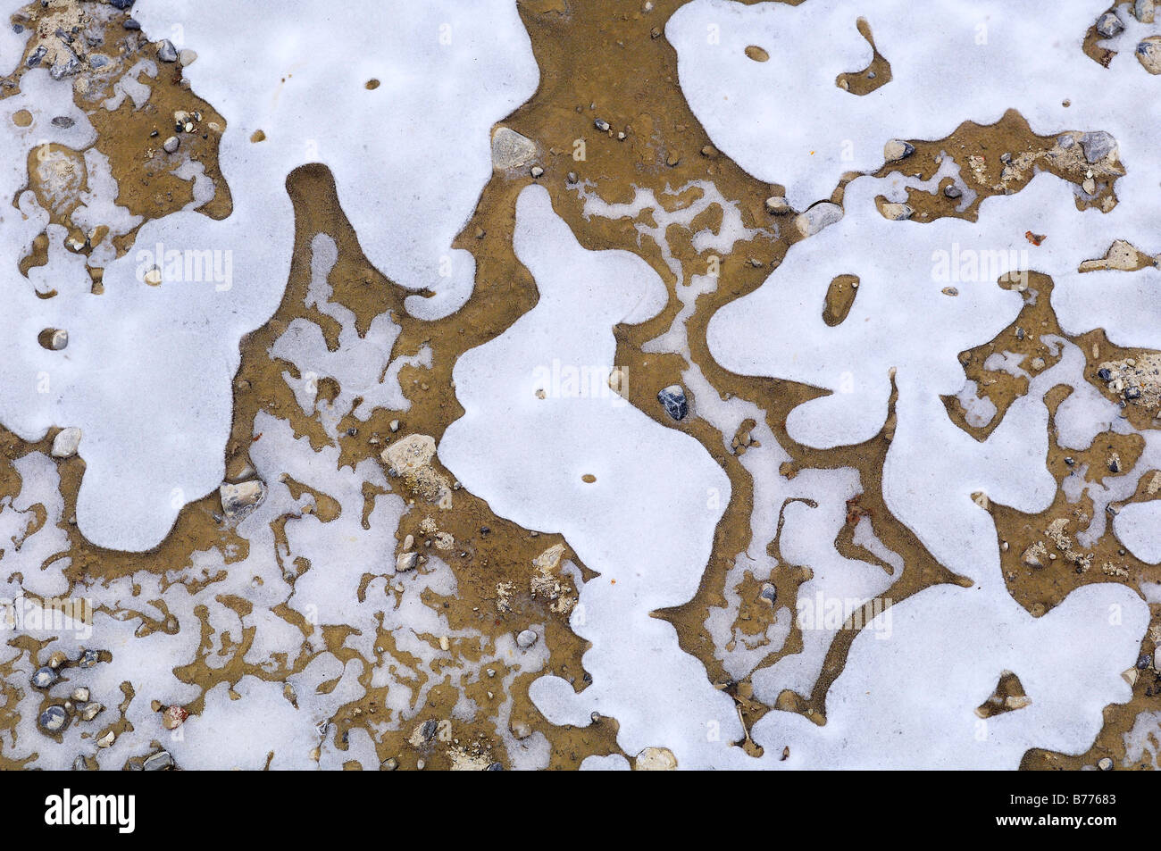 Différentes formes de glace dans une flaque, Bavaria, Germany, Europe Banque D'Images