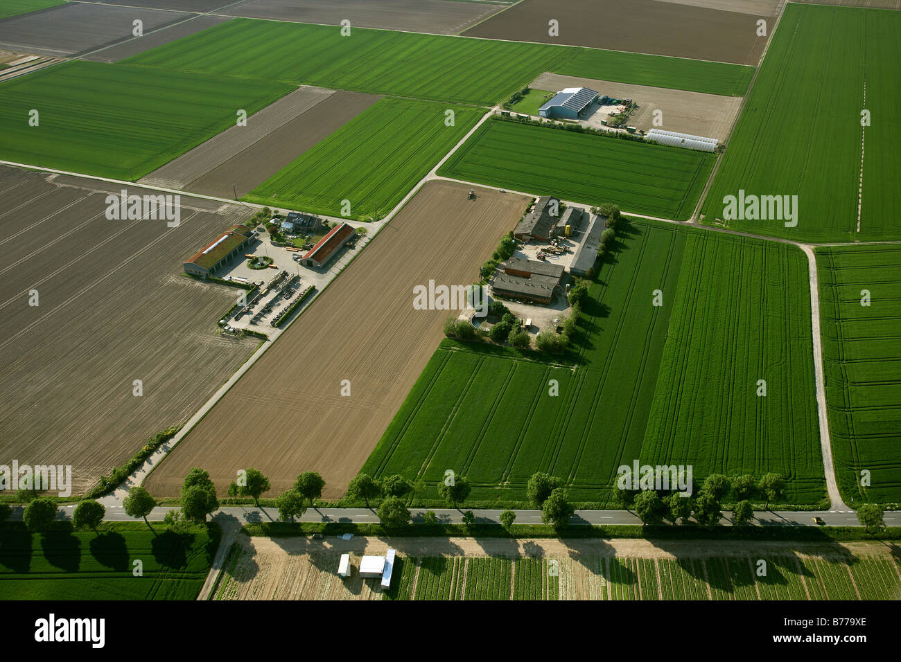 Photo aérienne, de fermes, de paysages du Rhin inférieur, Barth, Nordrhein-Westfalen, Germany, Europe Banque D'Images