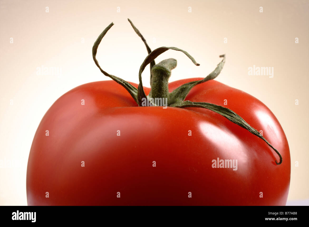 Détail de tomate rouge tomate Légumes Concombre amère solanum Lycopersicon esculentum riche en vitamines saines des aliments à faible teneur en calories Banque D'Images
