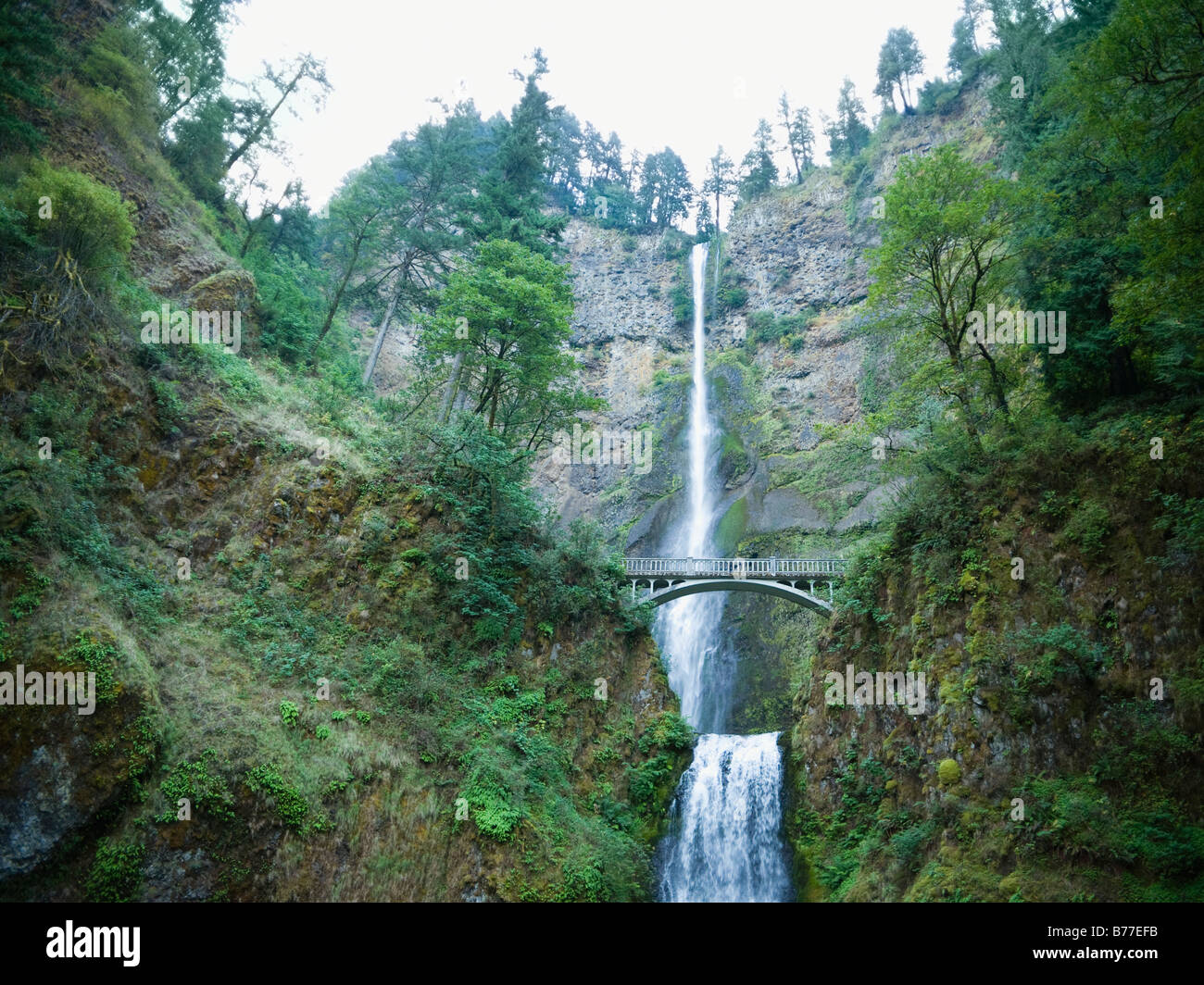 Multnomah Falls, Oregon Banque D'Images