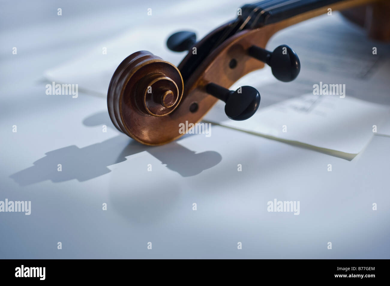 Close up of Violin Banque D'Images