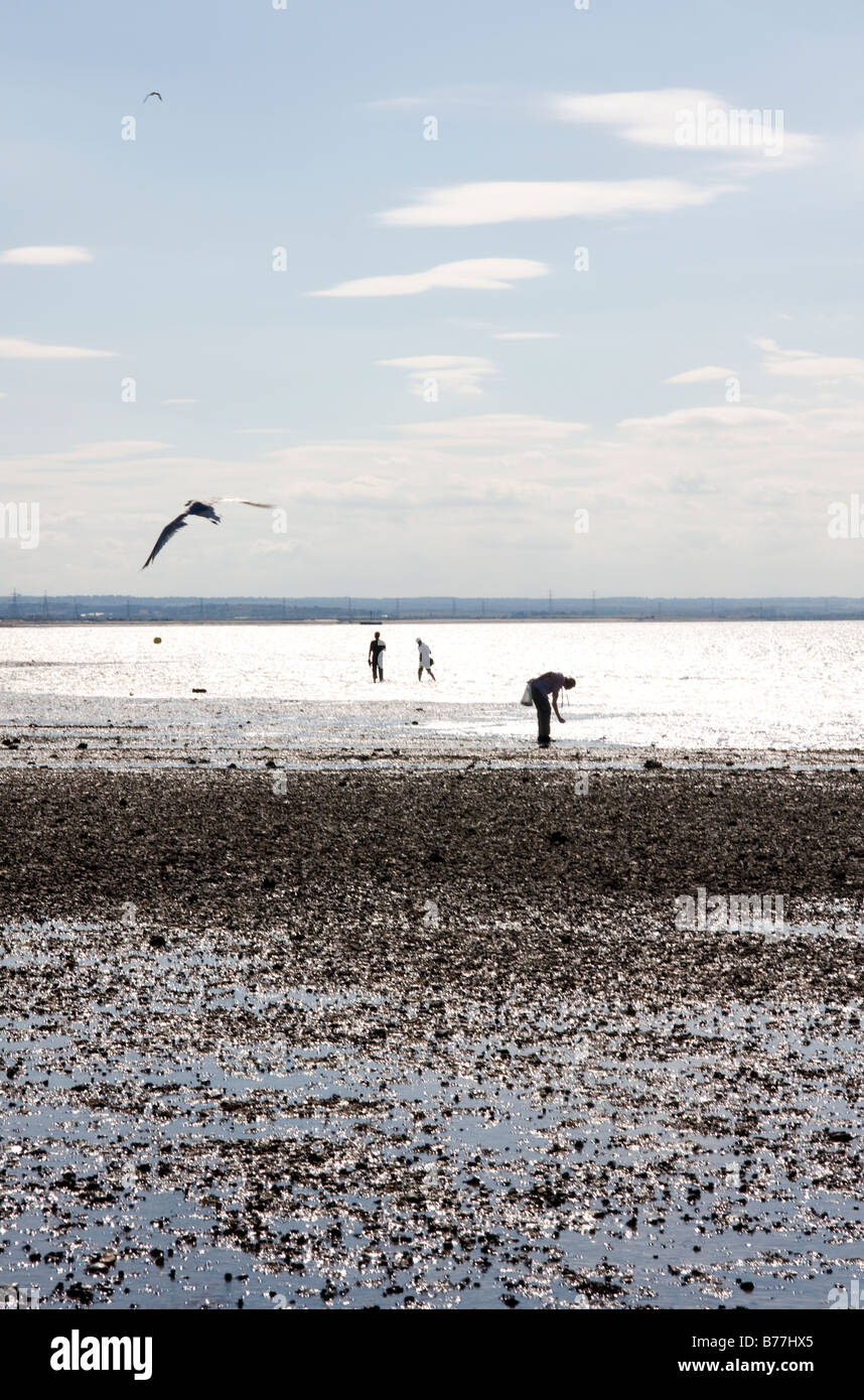 Plage à marée basse, Whitstable Kent UK Banque D'Images