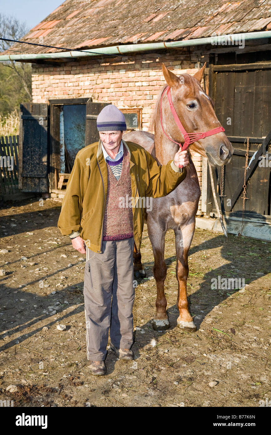 Homme roumain avec son cheval, Cernuc, Salaj, Transylvanie, Roumanie, Europe Banque D'Images
