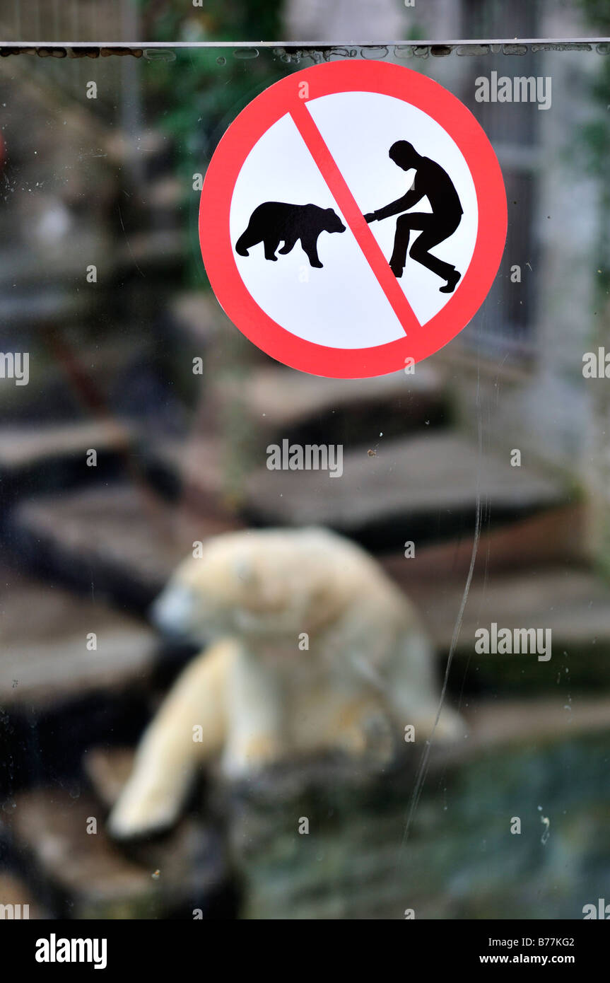 Ours d'alimentation interdite signe sur un boîtier de l'ours polaire (Ursus maritimus), dans le Tierpark de Albacete, Vienne, Autriche, Europe Banque D'Images